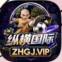 纵横国际