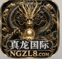 真龙国际